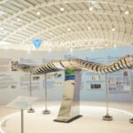 Screenshot_20260122-071533_Drive